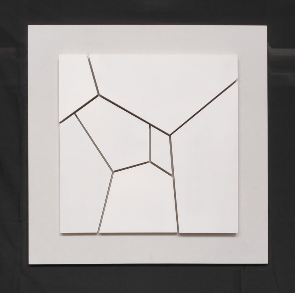 Beukenbos - Valentijn Zwanikken (2022)