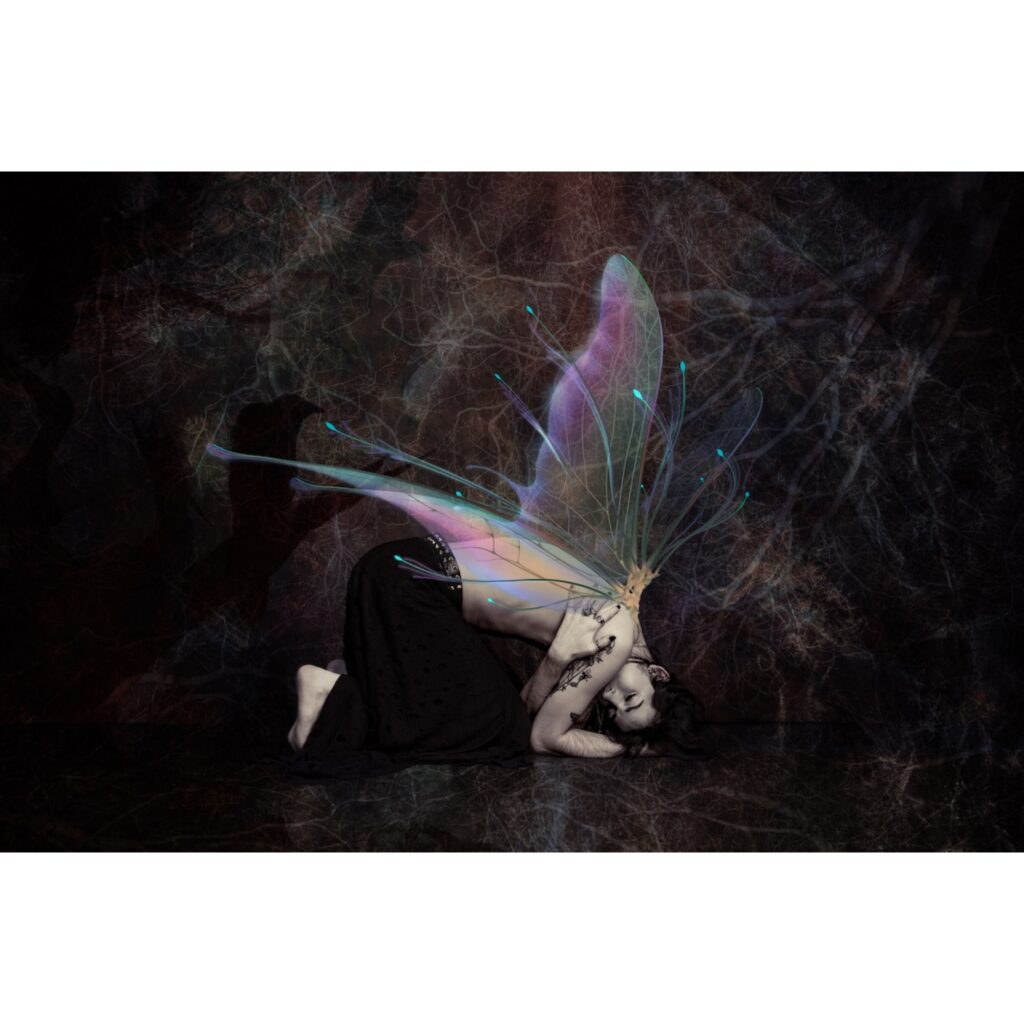 Black Butterfly - Henk Veldhuizen (2025)