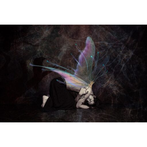 Black Butterfly – Henk Veldhuizen