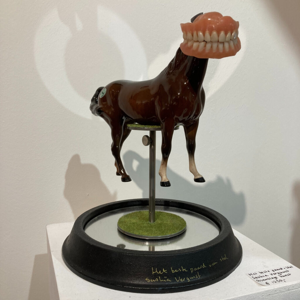Het beste paard van stal - Saskia Vergunst (2023)