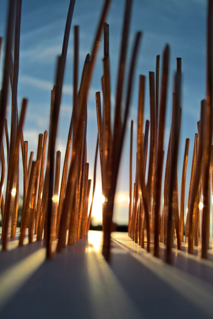 NoName 2 - Valentijn Zwanikken (2022)