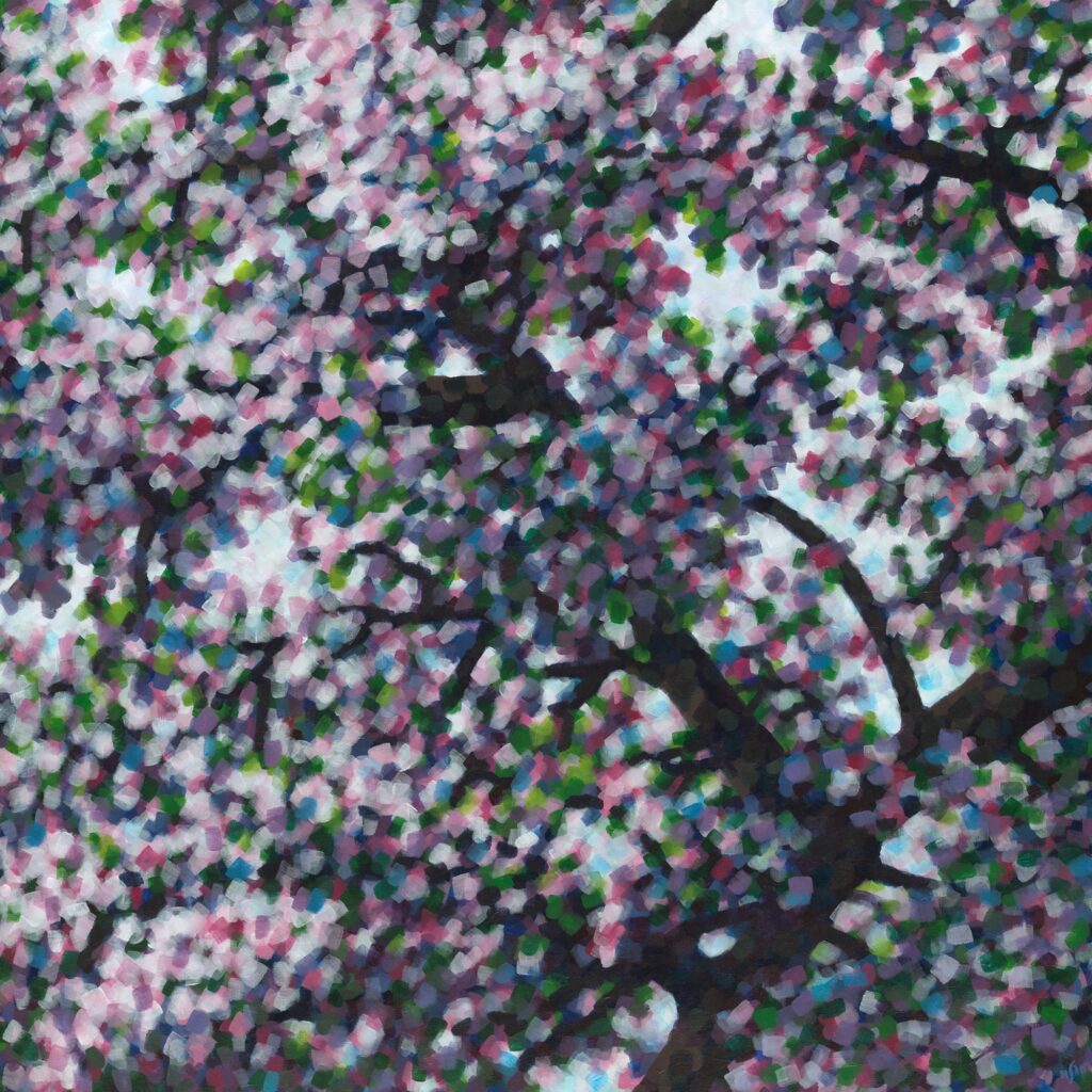 Pink Bloom - Marcel Straver (2023)