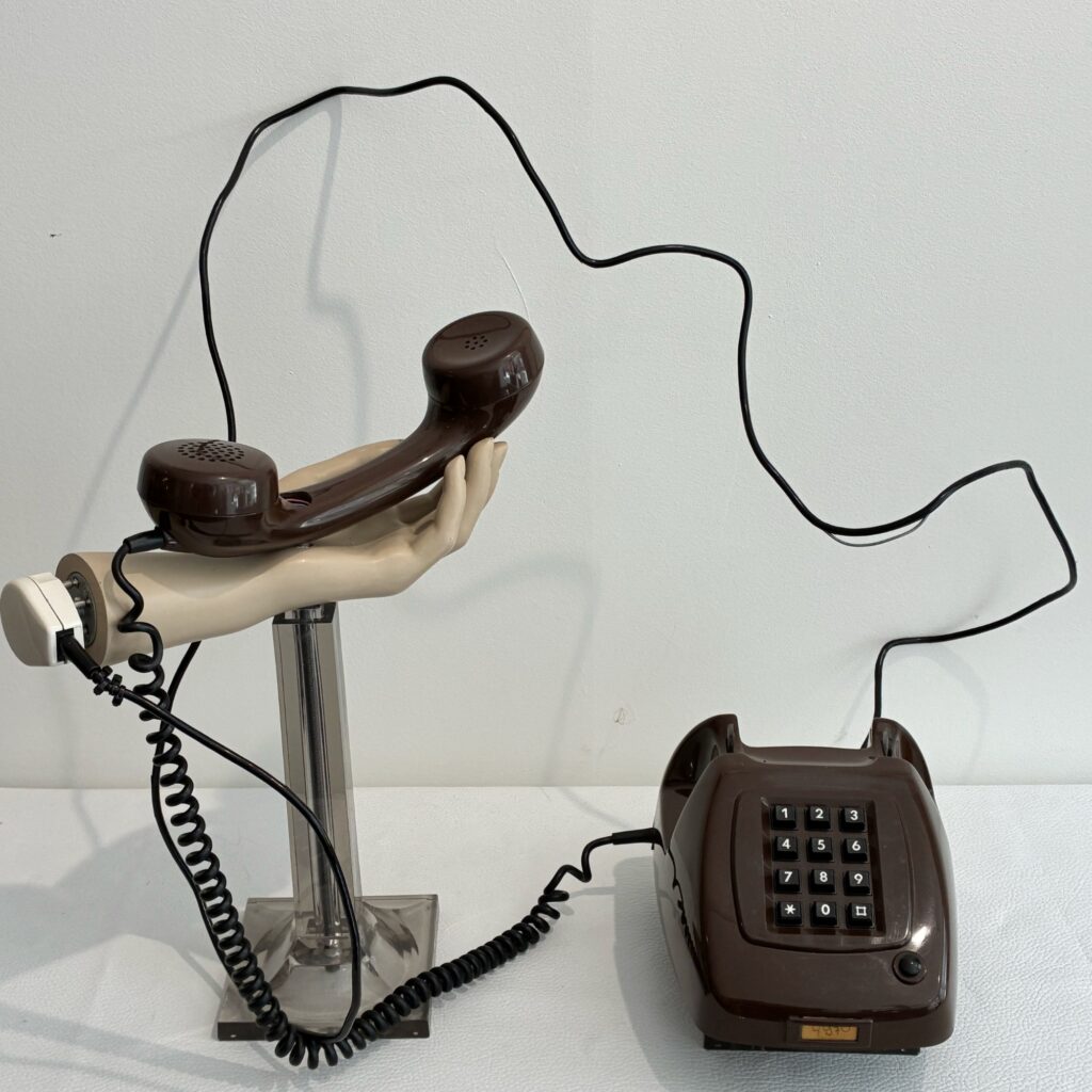 Verkeerd Verbonden - Saskia Vergunst (2025)